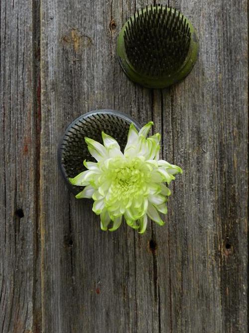 ZEMBLA LIME CUSHION  BICOLOR GREEN/WHITE POMPONS